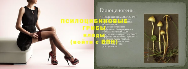 соль ск Абдулино