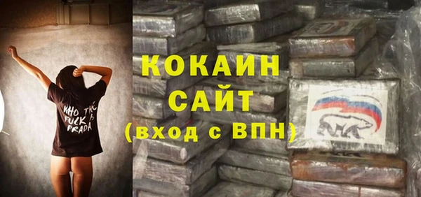 СК Алексин