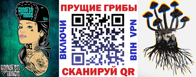 купить наркотик  Остров  Псилоцибиновые грибы GOLDEN TEACHER 